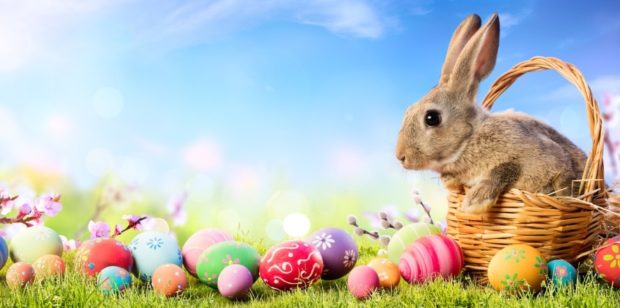Randalstown Arches Association will be closed Friday 2nd April - Monday 12 April for the Easter break.

We wish you all a happy and peaceful Easter 🐰