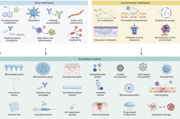 SMitragotri's tweet photo. How has drug delivery evolved over the decades? What has changed? What has remained the same? Check out our review led by @AvaVargason with @Aaron_Anselmo in @natBME @wyssinstitute @hseas @UNCPharmacy https://t.co/qjomXkidmf https://t.co/HYkDhIya2j