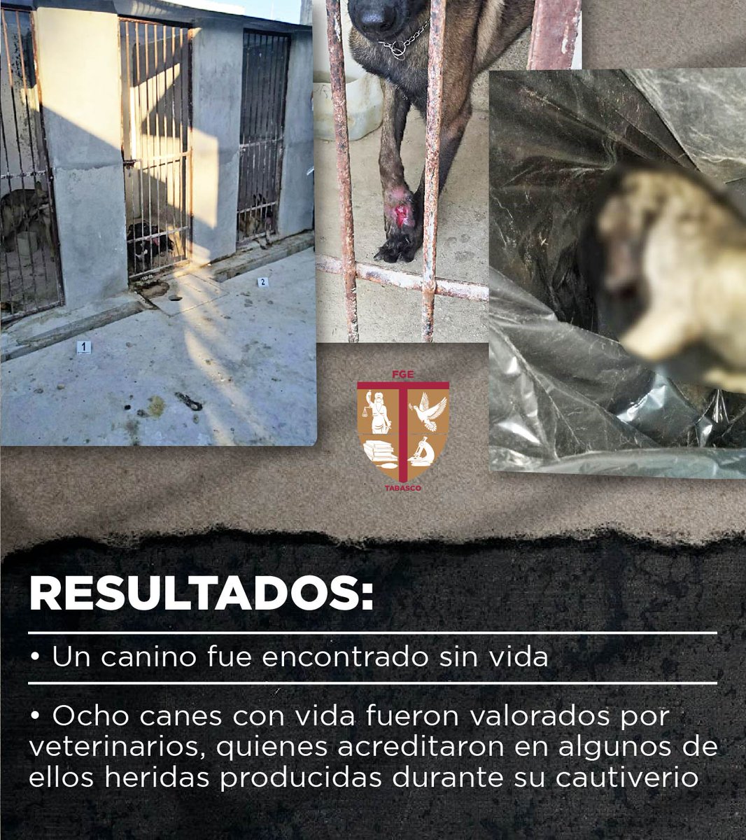 FGETabasco's tweet photo. 🗣️🐕🦮 Tras denuncia, asegura #FiscalíaTabasco distintos caninos que se encontraban en malas condiciones en centro de entrenamiento ubicado en #Pomoca, #Nacajuca. https://t.co/bKPmPZxjcO