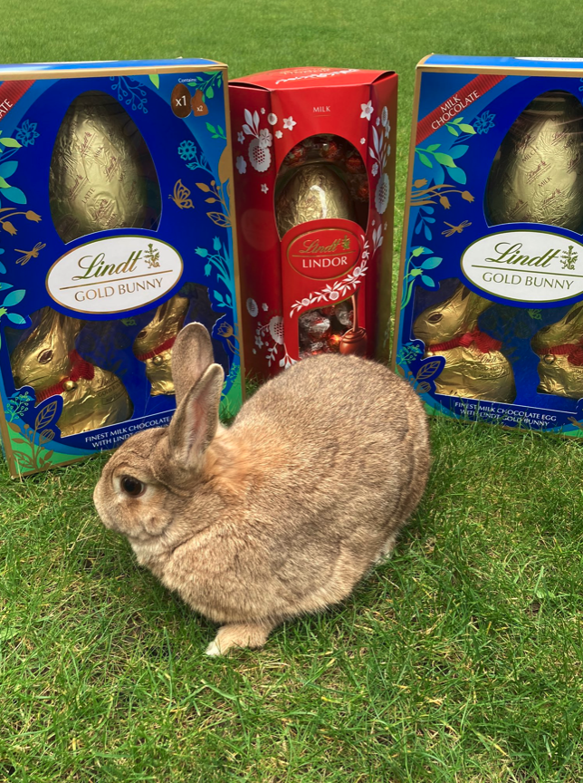 P_H_Design's tweet photo. The Easter eggs have been delivered to the Defence Medical Rehabilitation Centre! We hope you like them 
@dmrc_benfund! #HappyEaster #partner 🐣 https://t.co/hTM6ZLGswh