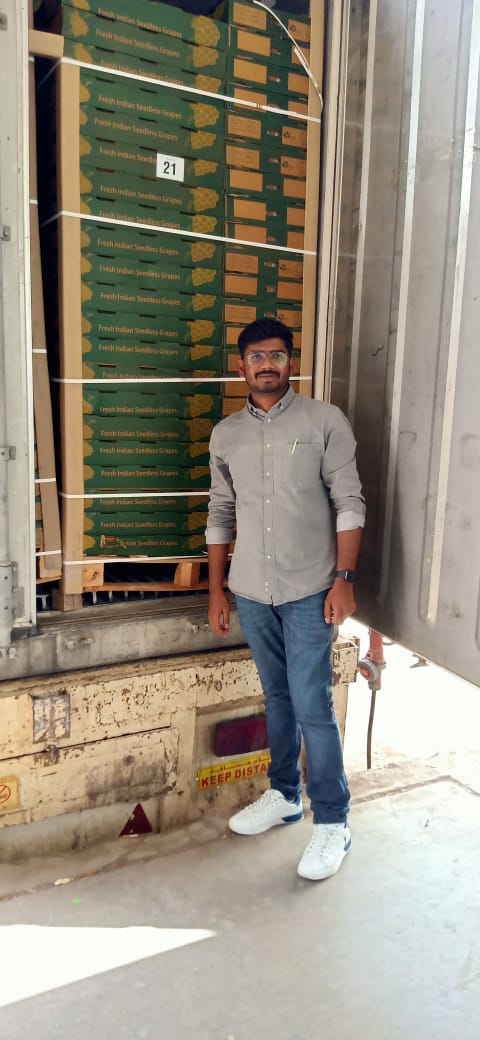 FarmRukmini's tweet photo. Exported to dubai from @FarmRukmini #grapes https://t.co/T9yt2JRfqS