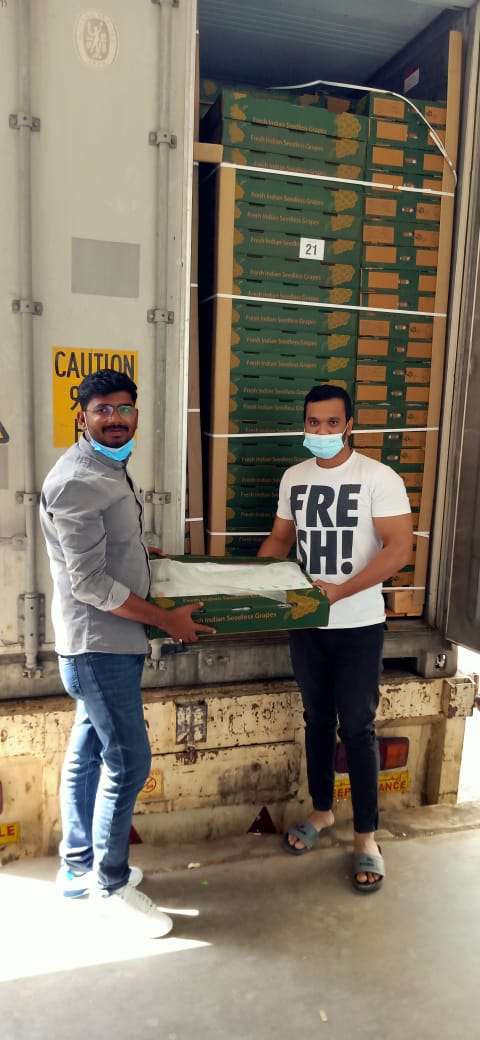 FarmRukmini's tweet photo. Exported to dubai from @FarmRukmini #grapes https://t.co/T9yt2JRfqS