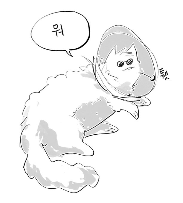 재업 - 배털고죠냥 