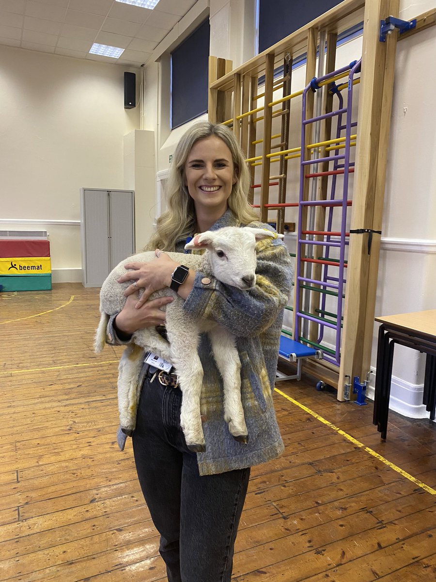 griffithseyfs's tweet photo. What could be better than spending the last day of term with the cutest lambs!? #happyeaster 🐑 🐣 🍫 #edutwitter #easterlambs https://t.co/BmQ5dZZNXA