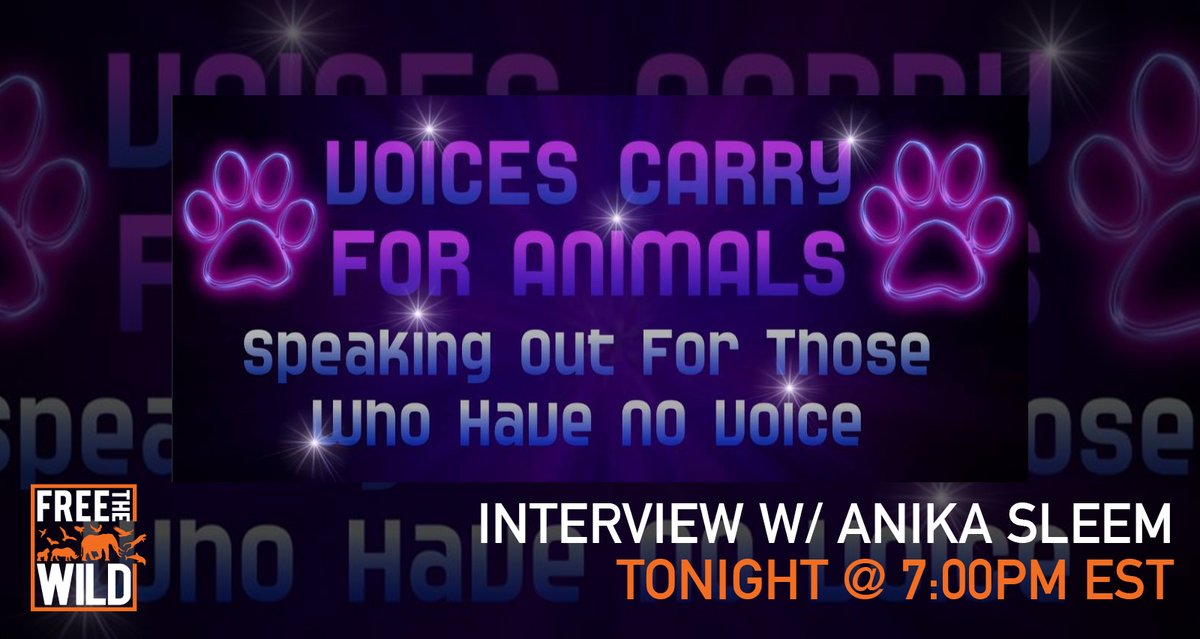 Join FTW Director & Trustee, @anikasleem in an interview with @DebbieDahmer for Animal Advocates Radio and the #VoicesCarryForAnimals series. Tune in this evening at 7:00PM EST
blogtalkradio.com/voicescarryfor…
FTW ❤️
#ftw #freethewild #animaladvocatesradio #interview #leap #lucy #edmonton