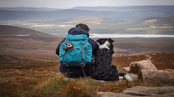 howpetcare's tweet photo. April month is active dogs month. Good luck to all dogs and be active.
#ActiveApril #dogs #howpetcare
https://t.co/msuwZ2KB83 https://t.co/ocCRJbdKQu
