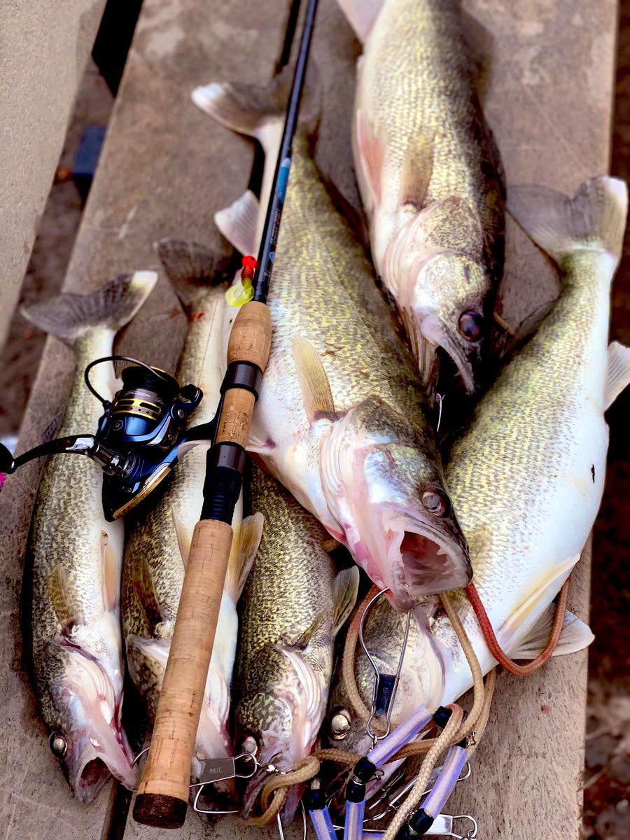 CoachR_Brooks1's tweet photo. Been killing the game, can’t wait to get back out this weekend after this cold front leaves #GoFishing #CaptainRyan⚓️ https://t.co/d17JFAveZg