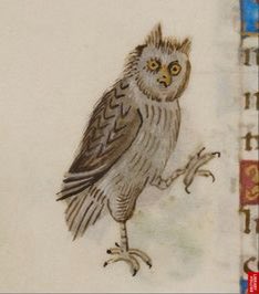 ddoniolvalcroze's tweet photo. Medieval Owls https://t.co/zOWkvmpZwO