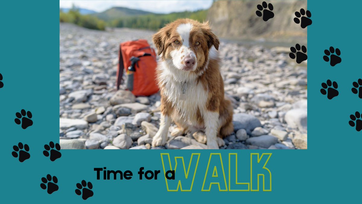 NOVADogMag's tweet photo. Springtime means more walks &amp; happy pups. Just like you, your dog may be feeling "cabin fever" after a long winter. Start planning fun outdoor activities that get you both outside. 

What are you and your pup up to this weekend?   

#NOVADog #PetLove #pets #caninefitnessmonth https://t.co/cDL14uFAHl