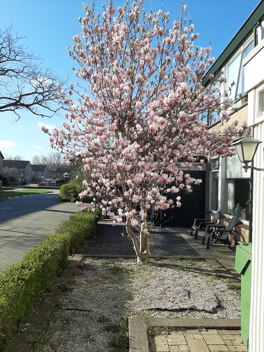 Lente erin en covid er uit.