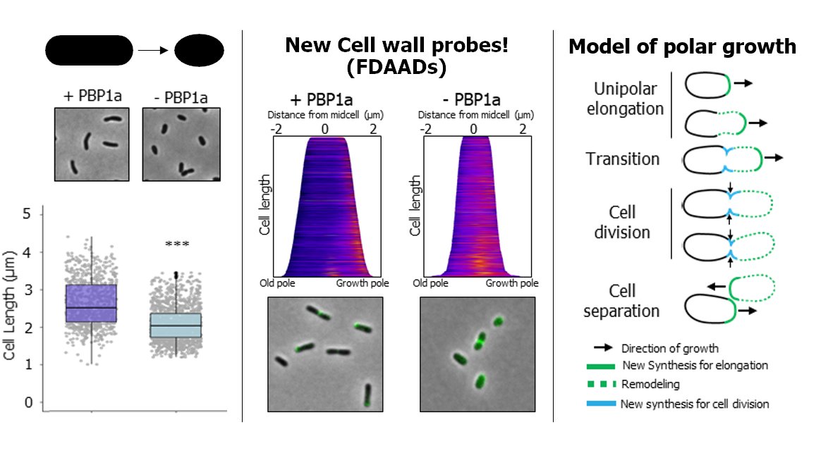 Michelle Williams tweet media