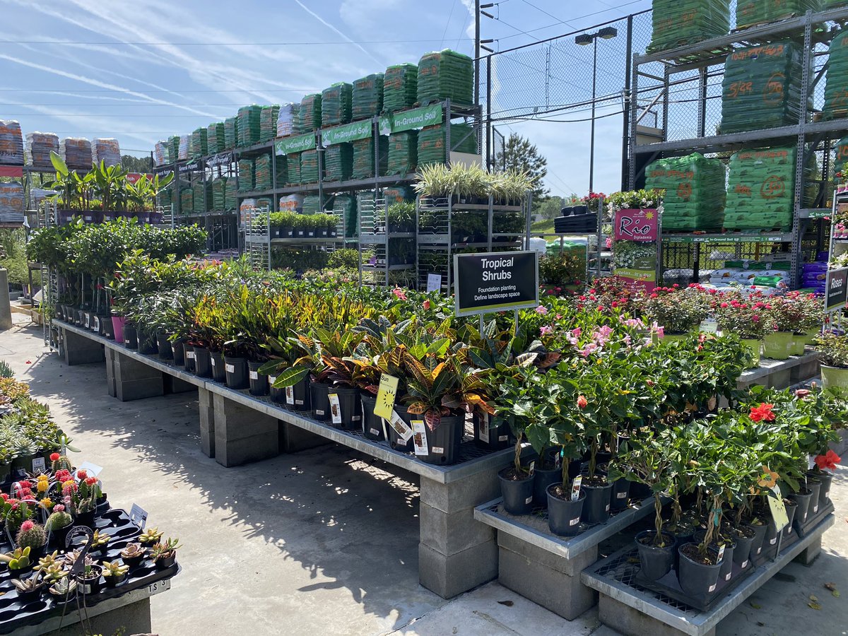 HD 140 Valdosta Georgia looks good merchandised well nice indoor display.