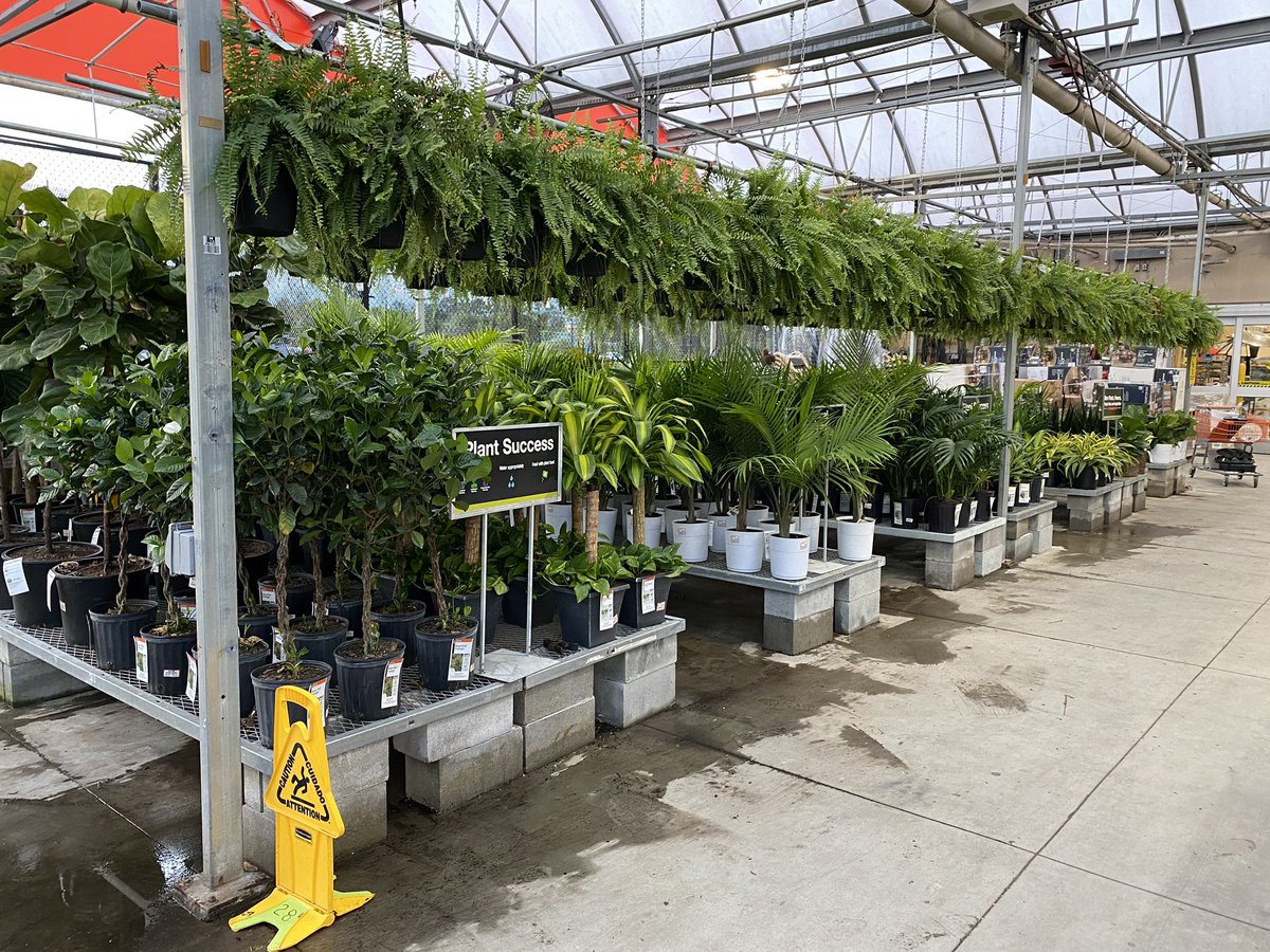 GregWilley4's tweet photo. HD 140 Valdosta Georgia looks good merchandised well nice indoor display. https://t.co/qji9ao4PUf