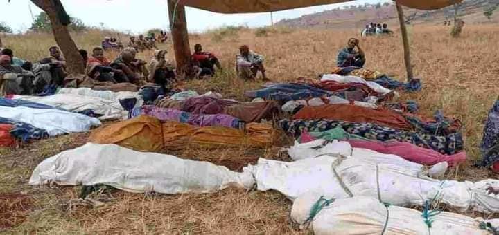 Maste_wal's tweet photo. The body of ethnic Amharas massacred in West Wollega zone, Oromia (in Bono Kebelle, Babo Gambiel woreda) &amp; their mass grave. On March 30, 2021, At least 186 Amharas--including 72 children--were massacred by Oromo militants secretly run by @AbiyAhmedAli &amp; his party.#AmharaGenocide https://t.co/w01wExldXz