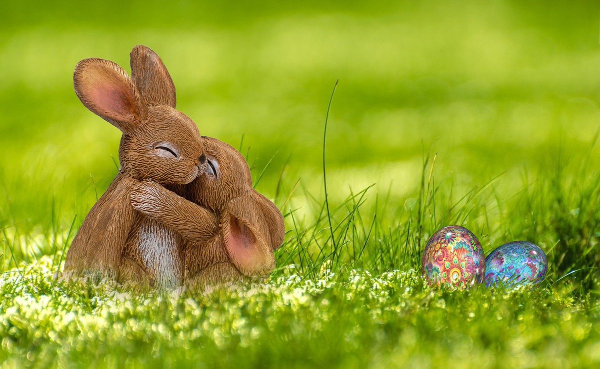 CreativeTiles's tweet photo. Happy Easter Everyone
We will be closed from Good Friday 2nd April and will re-open for Click & Collect and Trade customers on Tuesday 6th April at 8am.
#easterclosed #easterhours #easterbunny #happyeaster https://t.co/seI7zkHQ1t