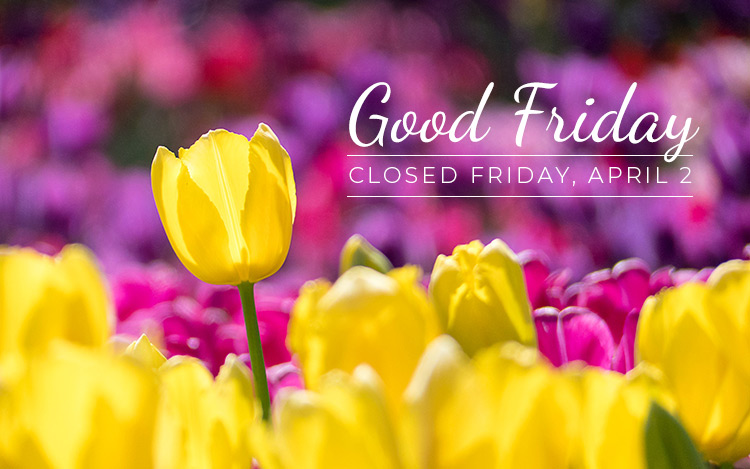 Web Wizards (@webwizardsinc) on Twitter photo 