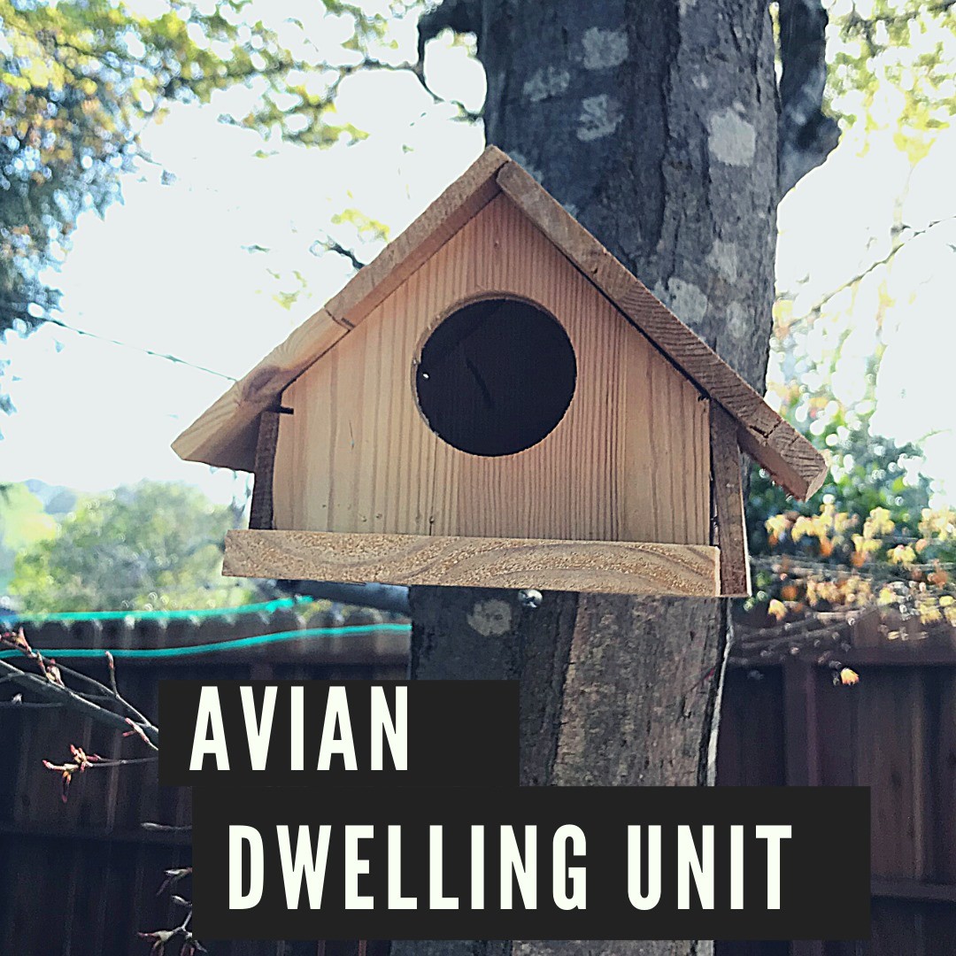 howtoadu's tweet photo. "Californians flock to new 'Avian Dwelling Units' ruffling feathers"
WILL “ADUS” TAKE OFF AND BRING HOUSING COSTS DOWN?

OAKLAND, Calif., Apr. 1, 2021 -- Desperate to reach the goal of 3.5 million new homes in 7 years, state officials have agreed to count Avian Dwelling Units tow https://t.co/HWpF7aqGhb