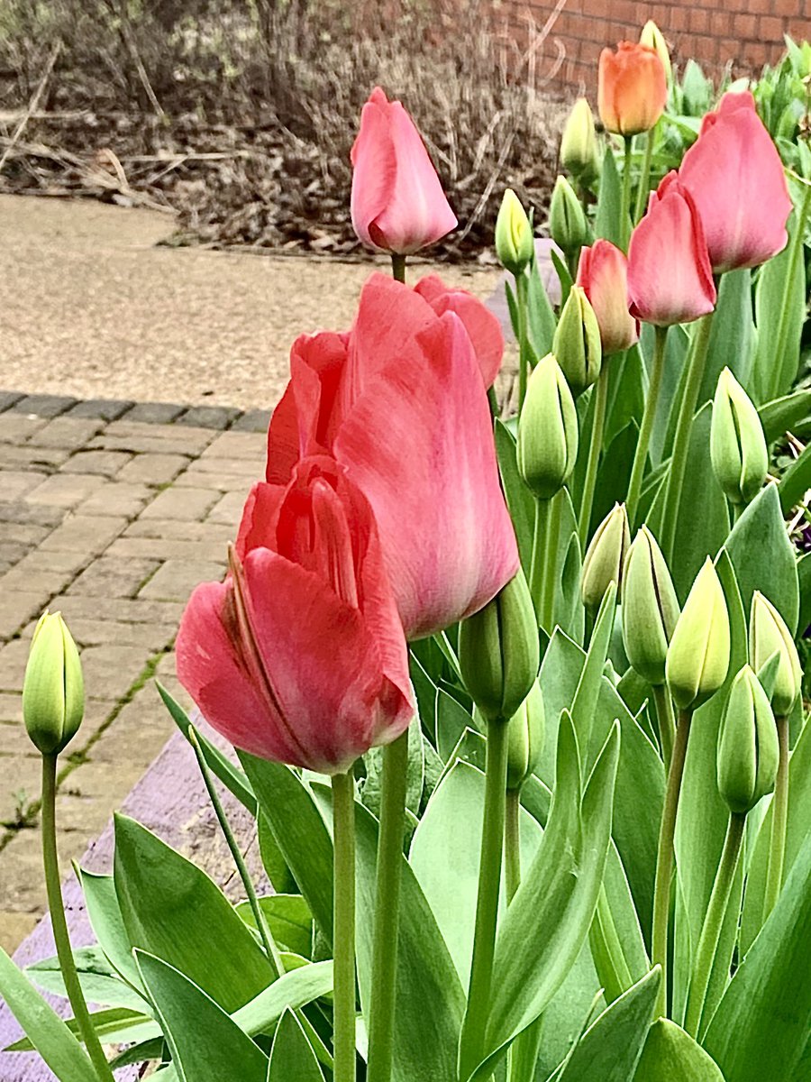 🌈😎Shelly Gibson tweet media