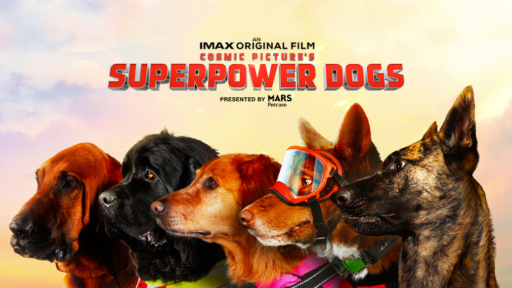 CincyMuseum's tweet photo. Dogs may be man’s best friend, but time is not because you’ve only got a few days left to meet the real-world heroes of @SuperpowerDogs. Superpower Dogs closes Monday, April 5. Get your tickets today! ➡️ https://t.co/yRyNGDi30O https://t.co/5kBj0pDTMD