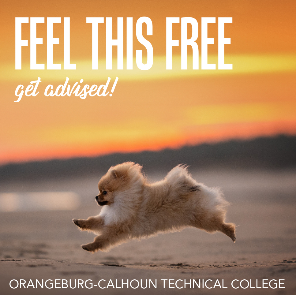 OCtechEdu's tweet photo. Now's the perfect time to #getadvised and #getregistered for summer/fall classes at OCtech! 803.535.1224 | https://t.co/94O9a97YDa https://t.co/kzSAqLvZhp