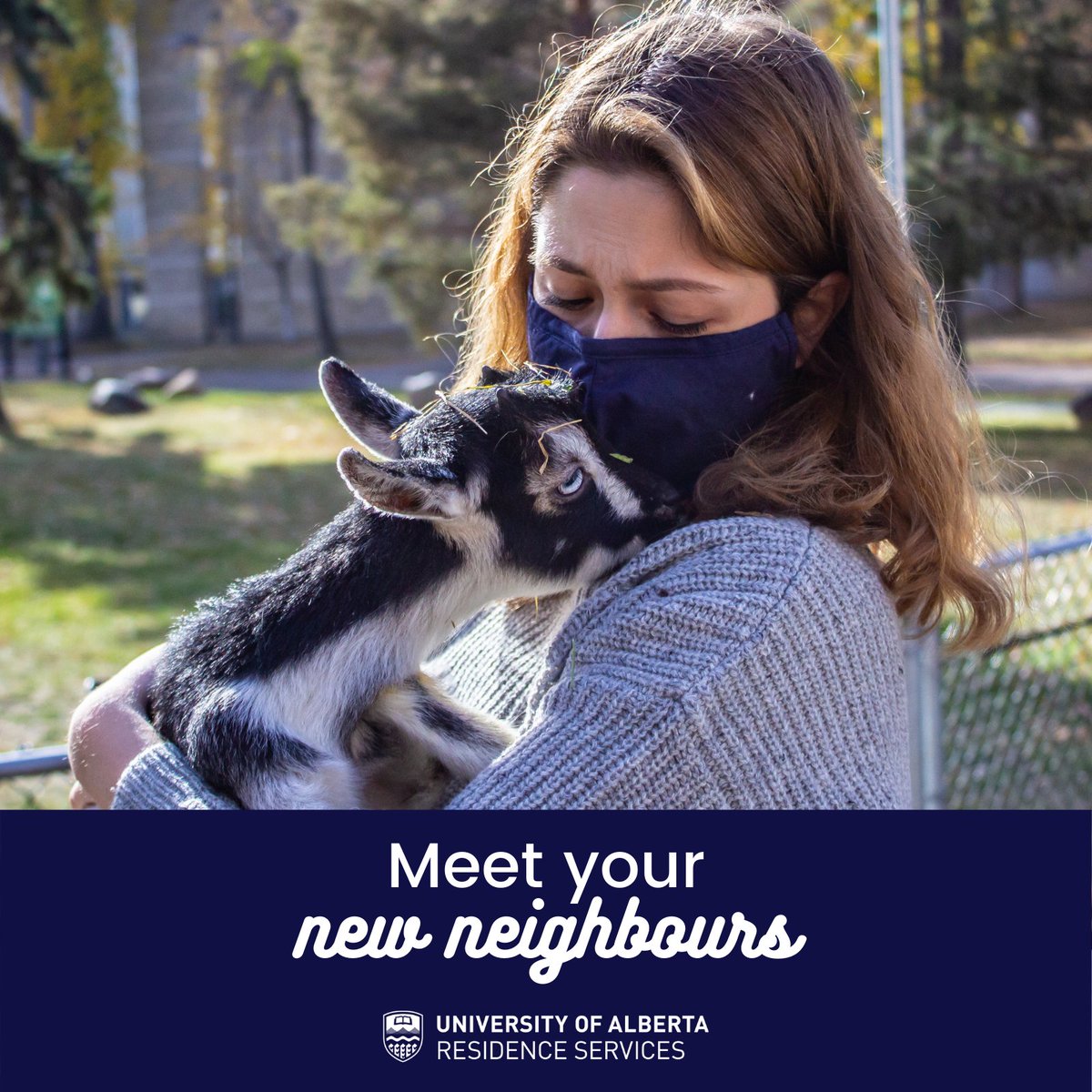 uofaresidences's tweet photo. It's been nearly a year in the making, but Residence Services is so excited to announce the launch of a new pilot project in Nîpisîy House.

💯 Get better grades
⭐ Improve your wellbeing
🐐 Pet goats every day

Read the full announcement:
https://t.co/qGXi847xf8 https://t.co/1CWg1tI0Jw