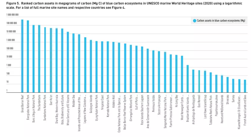 c_degrees tweet picture