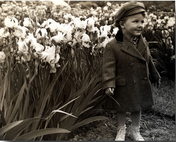 Rutgers_SCUA's tweet photo. April showers bring May flowers, like this young boy from 1939 Agricultural Field Day and Irises.
#Rutgers #RutgersLibraries #RutgersSCUA #IGLibraries #SpecialCollections #LibrariesofInstagram #AprilShowers #AGFieldDay #RutgersTBT https://t.co/bxJqmDCSoS