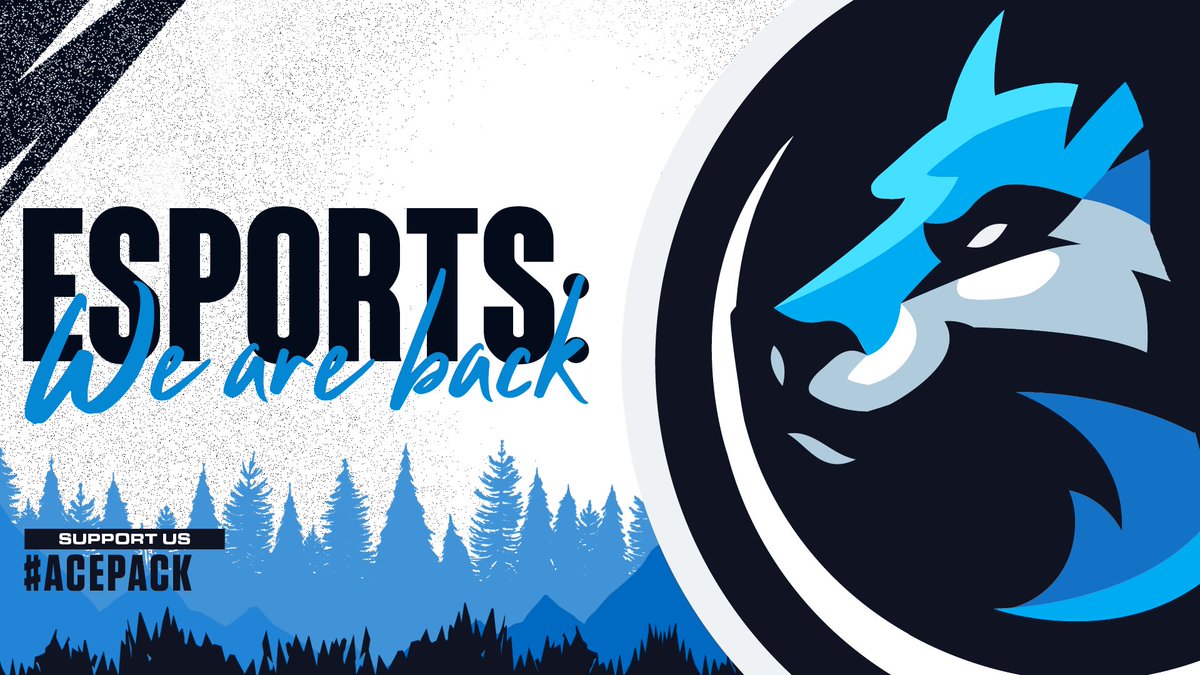 PolarAceGG's tweet photo. THE MOMENT YOU'VE ALL BEEN WAITING FOR:

Today is the OFFICIAL GRAND REOPENING of esports at Polar Ace! MORE announcements to follow; make sure to turn notifications 🔛!

#ACEPACK🐺 | #ACEWIN🐺 https://t.co/fTZHUObLAw