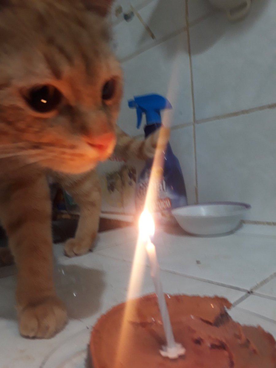 Hayatımın hem en acı hem en güzel şakası Ateş. Kalan ömrümüz beraber geçsin. Lütfen bize can olun bu güzel minik ölmesin.