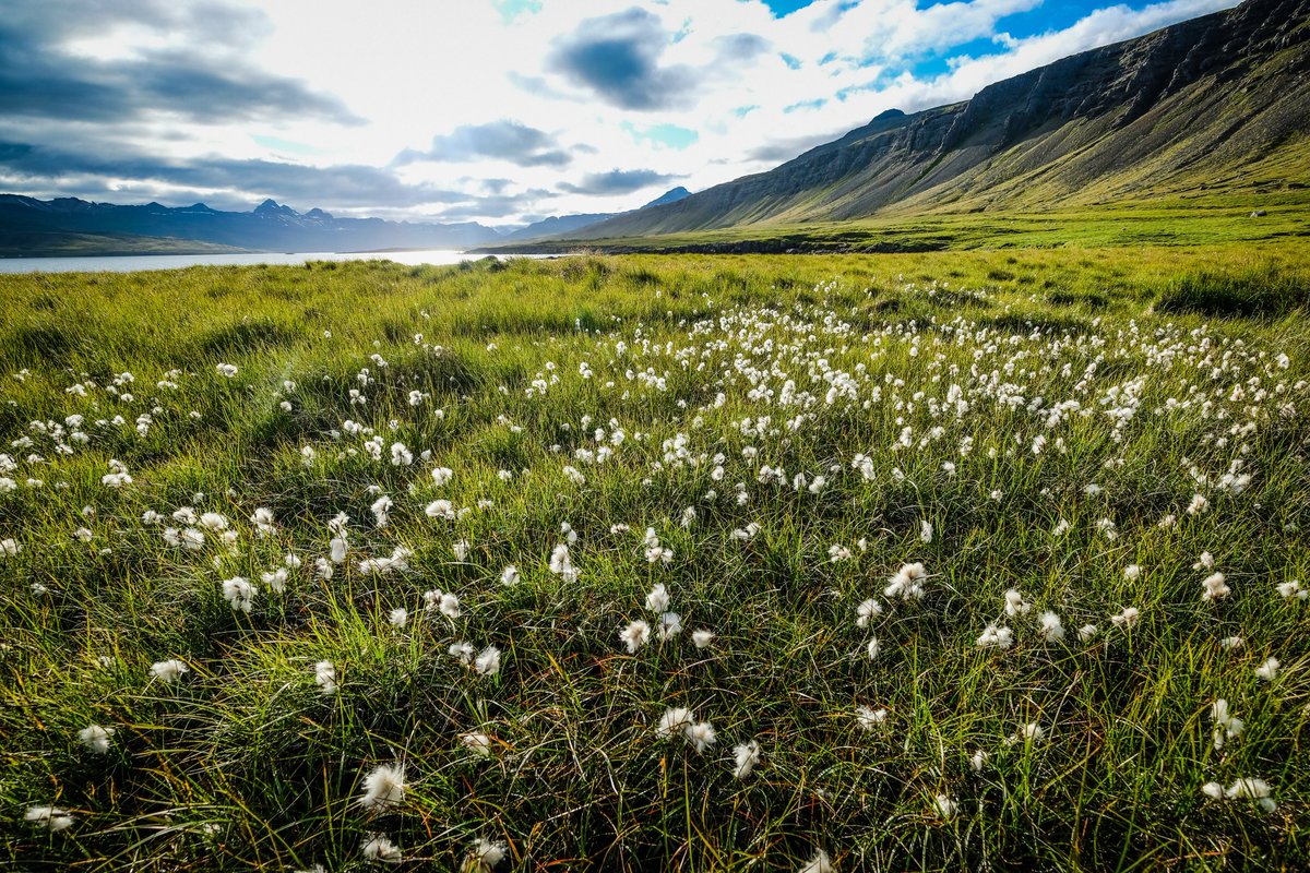 thomasbuberl's tweet image. #AXA has completed the placement of €1 billion of green bonds which will finance sustainable projects. We are on track to double our financing in sustainable projects and are fully committed to accelerating our actions towards a low-carbon economy.