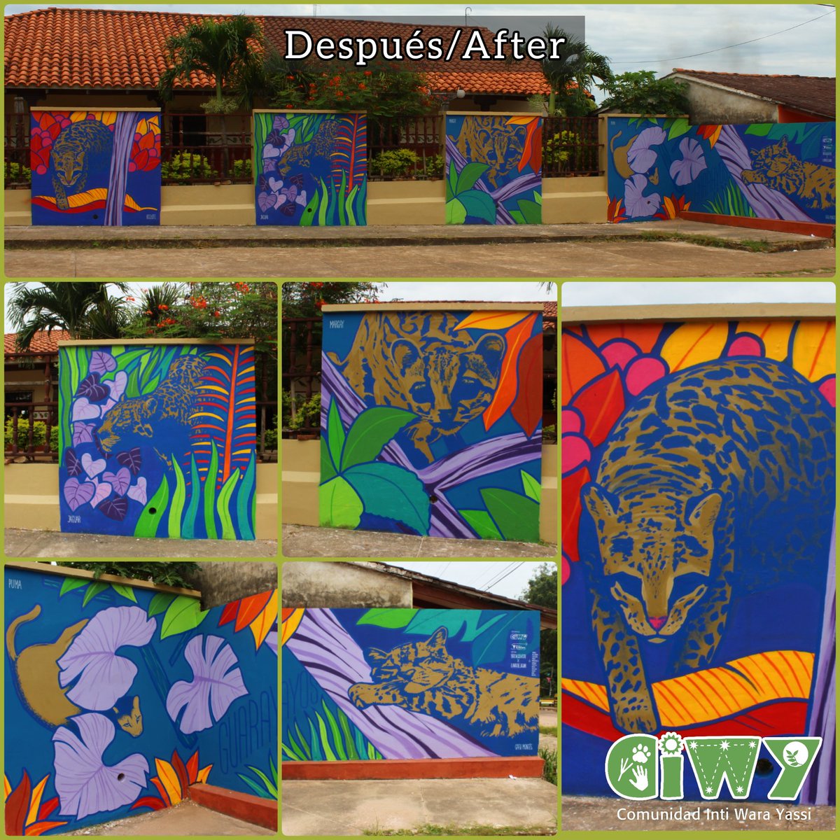 intiwarayassi's tweet photo. Antes y Después del pintado de murales en la Casa de la Cultura de Ascensión de Guarayos. 5 días de actividades para la sensibilización y educación sobre la conservación, el arte y la cultura.
Gracias a todas las personas que se hicieron presente 💚
#ArteParaLaConservación #CIWY https://t.co/cVUYfU5KQi