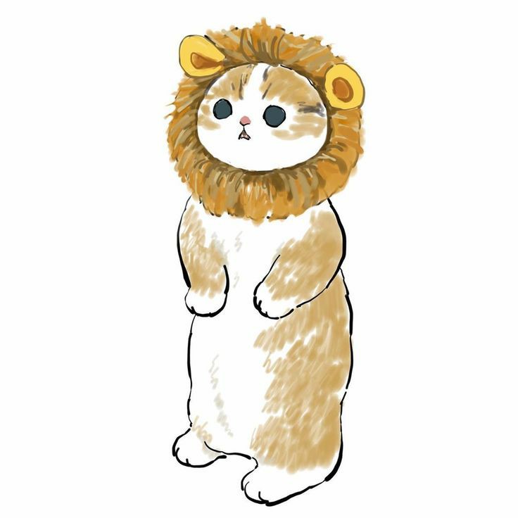 THMLESS's tweet photo. https://t.co/YRIpnc5H3F