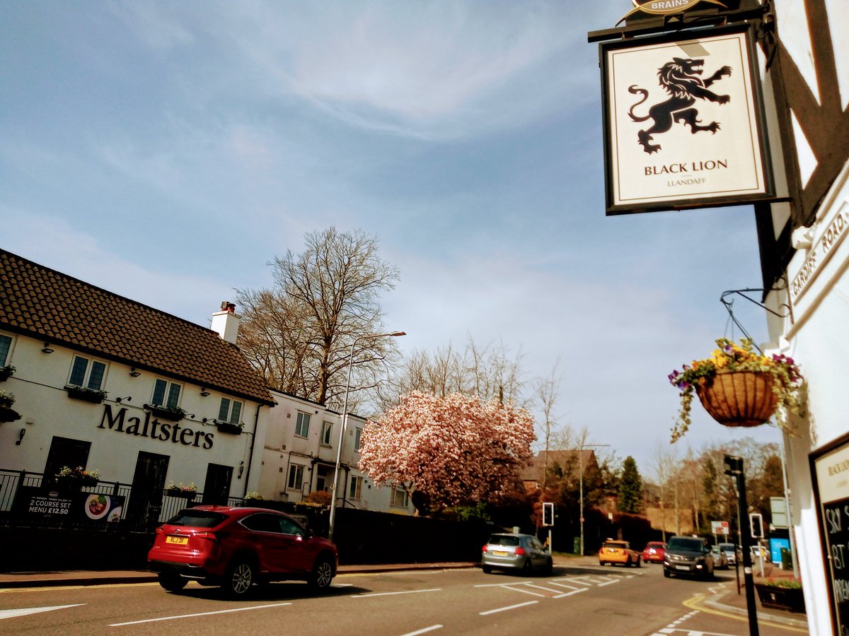 Now all we need is for the pubs to open. Roll on April 26. 
#MagnoliaWeek ar Ffordd Caerdydd. Da di'n pentre bach ni.