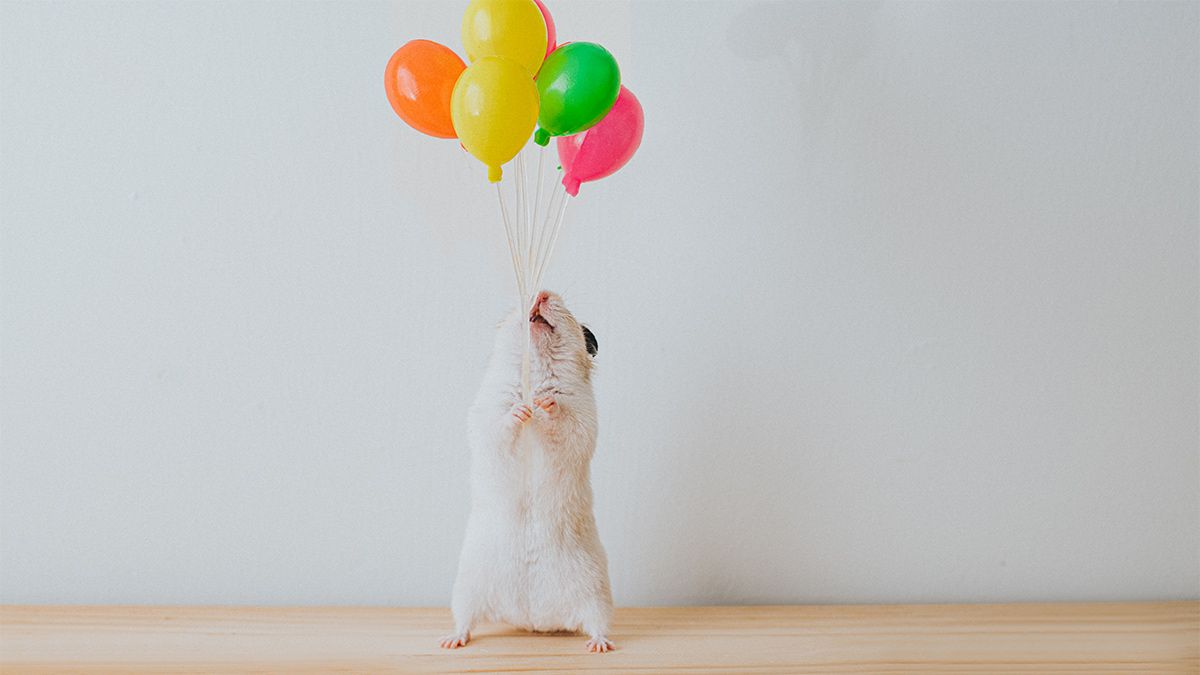 Caroline_Webb_'s tweet image. A month after getting an appreciative note from their boss, people in this study said they felt "significantly more valued, more recognized for their work, and more supported". Who can you appreciate in the next few days? #leadership #appreciation bit.ly/3dkyDfO