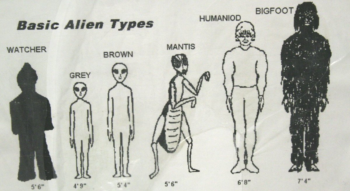 NORMALHOROSCOPE's tweet photo. Every LGBT friend group https://t.co/M4ZzTOvCYJ