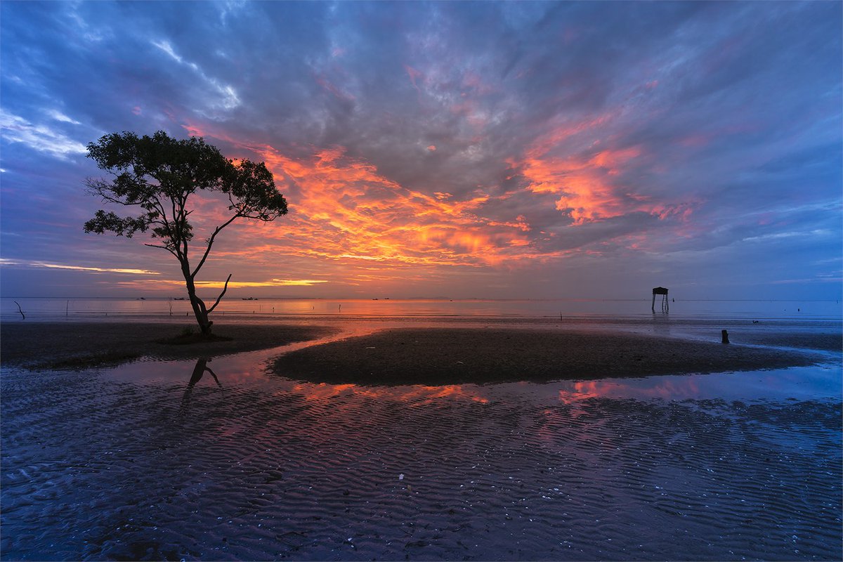 EmmaJonesphotos's tweet photo. Cloudy Sky Sunset on Beach with Tree https://t.co/40GRgeARX3 #redbubble #redbubblephotography #redbubbledesigns #poddesigns #sunset https://t.co/9aBgBcA64s