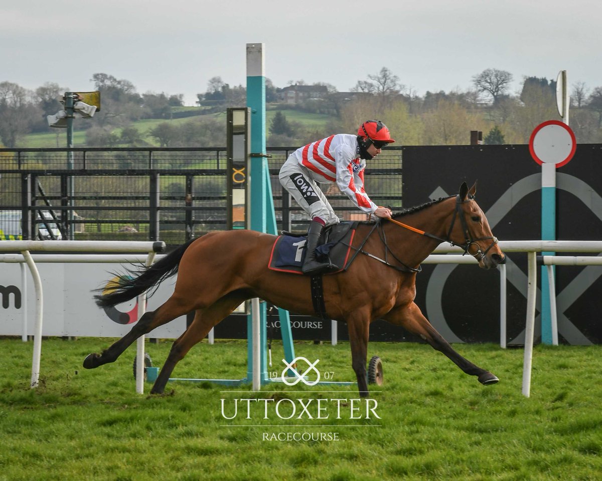 UttoxeterRaces's tweet image. RACE 8 RESULT – Sky Sports Racing HD Virgin 535 Mares' Standard Open National Hunt Flat Race

🥇 Corey's Courage
🥈 Game On For Glory
🥉 Blue Collar Glory

Jockey: @aidancoleman

Trainer: @O_J_murphy91

Owners: A. P. Racing

📸: @nigekirby