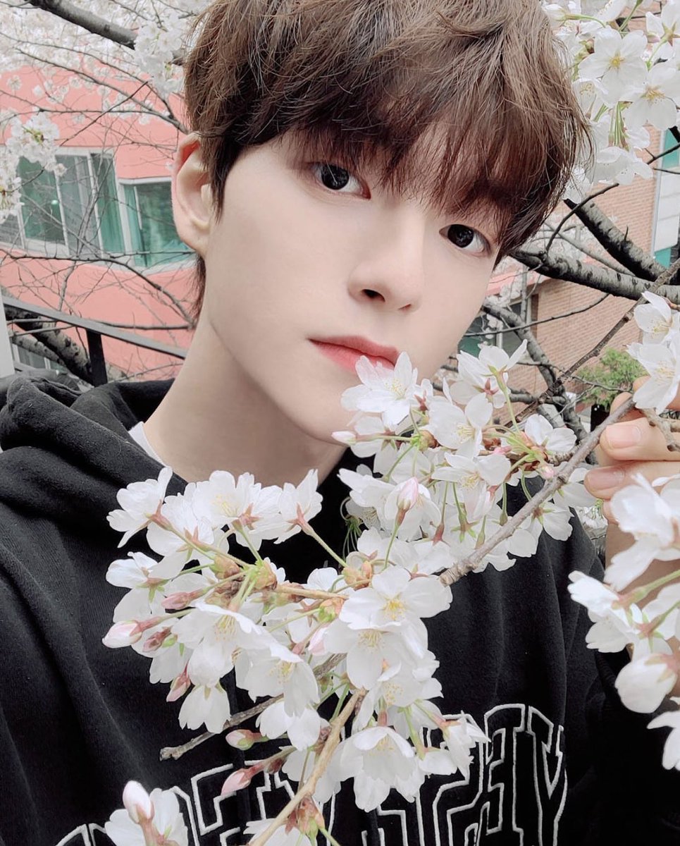 FranceWish's tweet photo. 010421��� INSTAGRAM 〗

➥ Nouveau poste de #WISH

🇨🇵 : Le printemps qui nous correspond ❤️
 _
#EPEX #C9ROOKIES @the_EPEX #DAVIDKWAK #이펙스 #위시 #곽다윗 https://t.co/rlAtAeQNfU