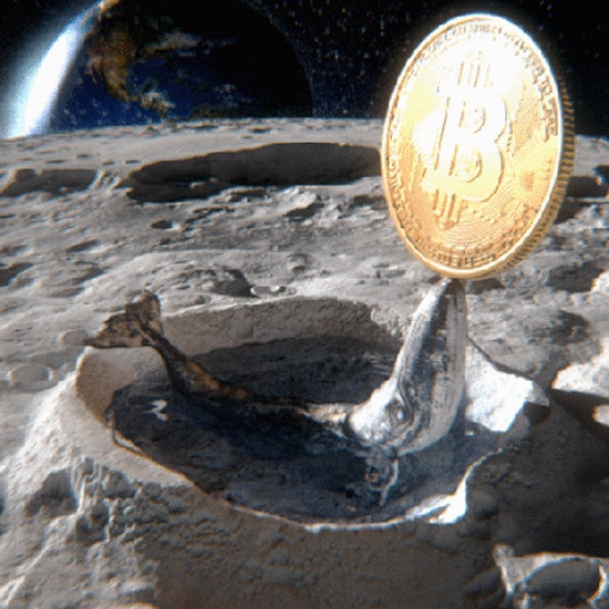 SuperRareBot's tweet photo. 💎 To the Moon  💎

✨ Artwork by @MaxRetoka
💰 Sold to wateelli for 0.8 ETH ($1,559.82)

https://t.co/wiusb2EaON

#cryptoart #NFT https://t.co/8caMAiD7y2