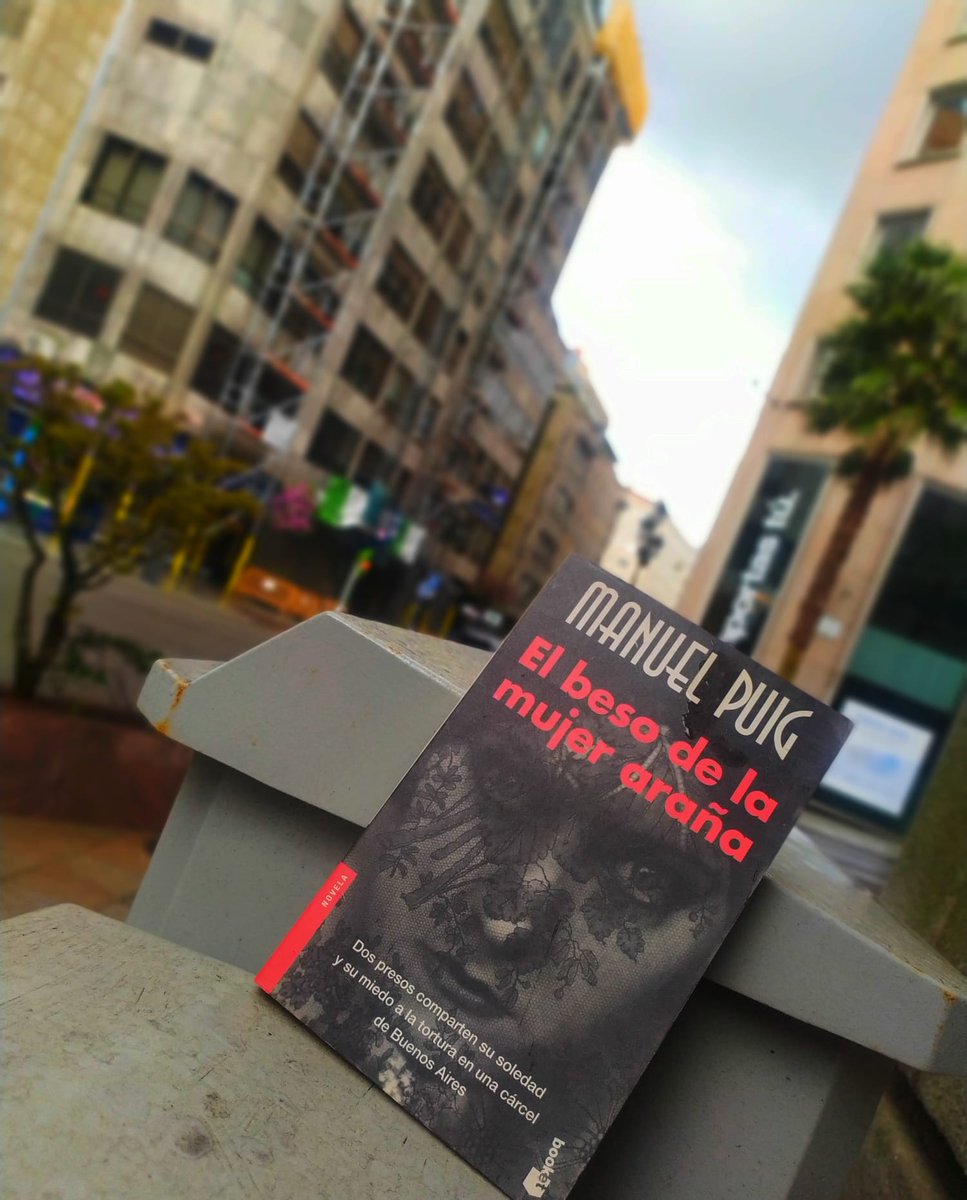 Pvlse_vigo's tweet photo. Hoy es el #díadellibrolgtbi y hemos soltado por la ciudad libros de nuestro adorado #terencimoix , la gran @roberta__marrero , el increíble @borisizaguirre , esperamos que a las personas que los encuentren les hagan tan felices como a nosotres.

#librolgbt 
#readisfundamental https://t.co/Mi0SSYtTy1
