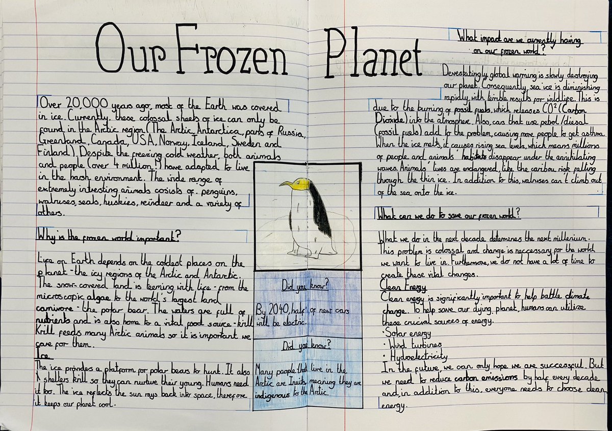 Lily Speelman tweet media