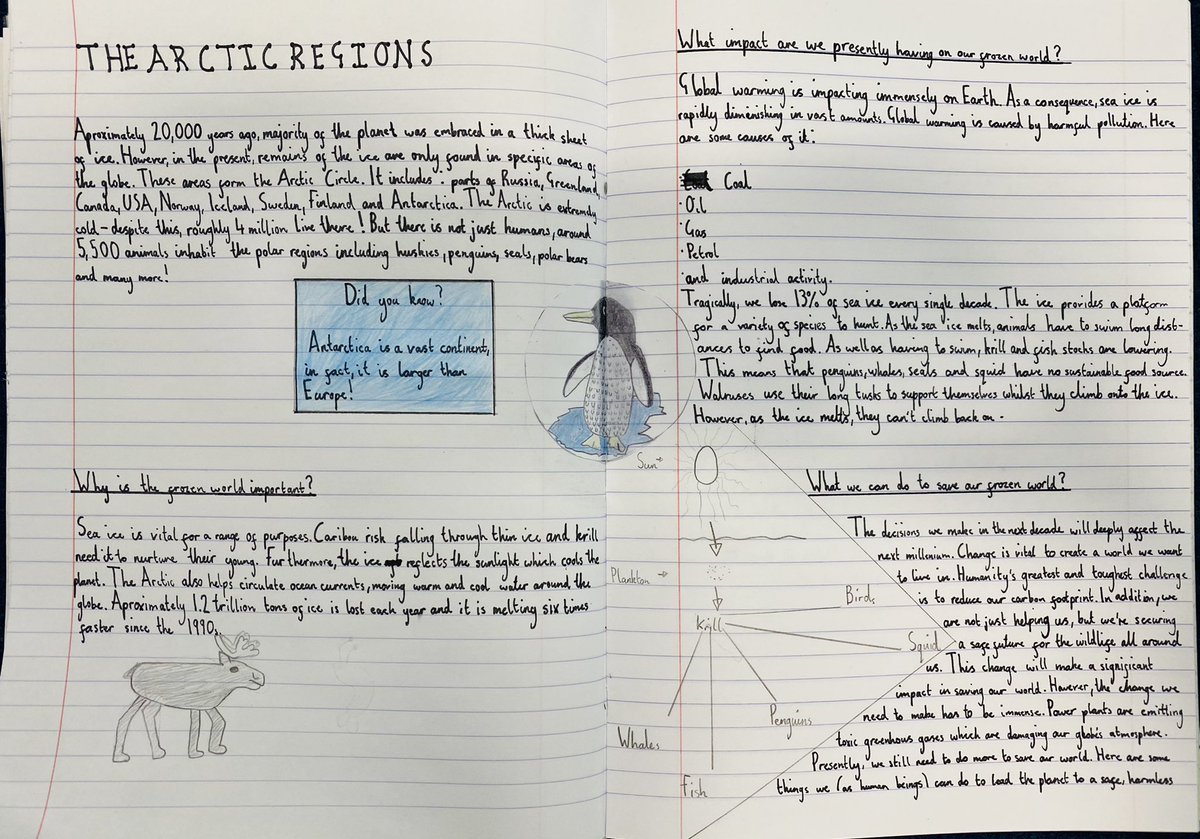 Lily Speelman tweet media