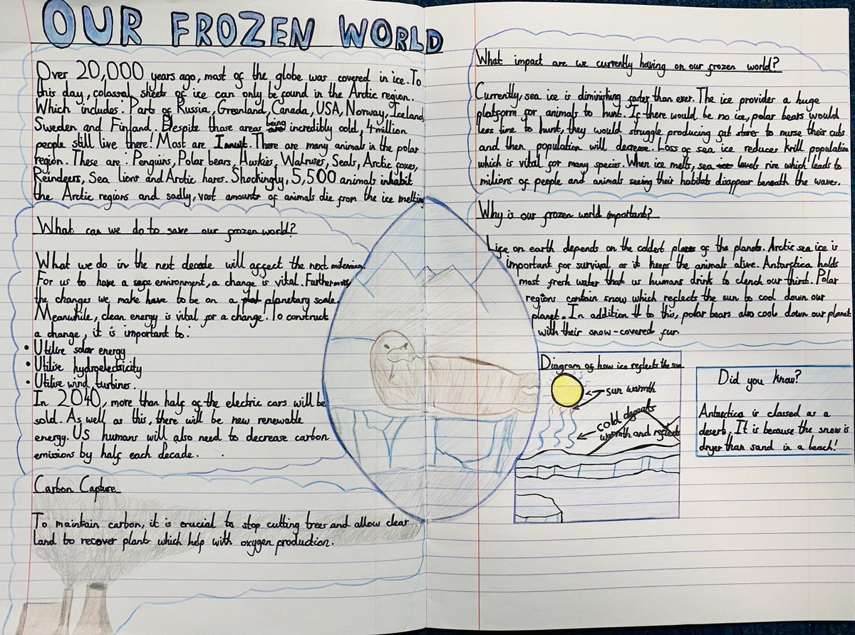 Lily Speelman tweet media