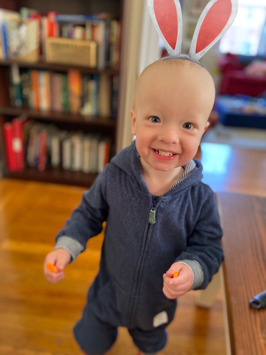 robbensonuk's tweet photo. @debrabaker33 Here’s a Reggie bunny! https://t.co/GLxYmxhpf6