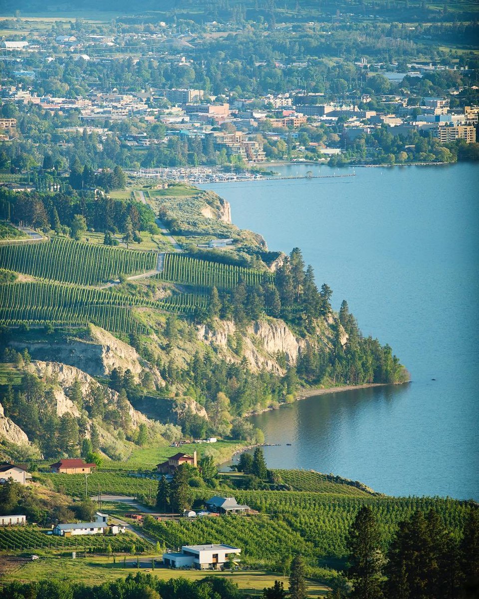 Destination BC (@hellobc) on Twitter photo April is BC Wine Month! BC is home to nine wine regions with over 300 wineries producing more than 80 grape varietals🍷🍇. What BC wine would you recommend? Tell us in the comments below!
Captured by <a href="/shotsbyluke/">Luke Gibson</a> in Penticton April is BC Wine Month! BC is home to nine wine regions with over 300 wineries producing more than 80 grape varietals🍷🍇. What BC wine would you recommend? Tell us in the comments below!
Captured by <a href="/shotsbyluke/">Luke Gibson</a> in Penticton