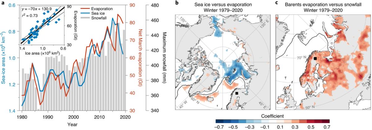 NatureGeosci's tweet photo. NGeo: Arctic sea-ice loss enhances evaporation and fuels extreme European winter snowfall

https://t.co/znrI90qbFn https://t.co/TVkZzeDQeY