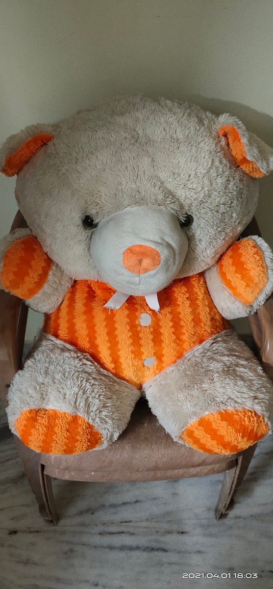 Reel and real couple <a href="/arya_offl/">Arya</a> <a href="/sayyeshaa/">Sayyeshaa</a> beautiful in #TeddyMovie loved it 😍😍😍😍 watched finally how beautiful scenes with teddy and teddy voice is beautiful 💕<a href="/arya_offl/">Arya</a> and teddy 😍and here teddy in my home <a href="/arya_offl/">Arya</a> 💗☺️ how was it? Waiting for part 2 😄🤪🔥 #TeddyMovie