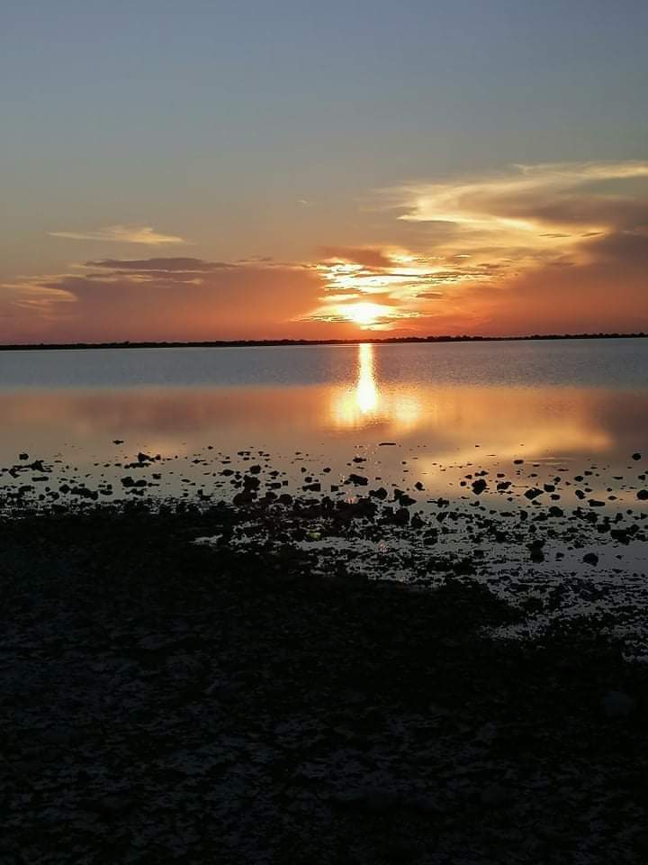 's tweet image. GOOD EVENING FROM BOTSWANA 

📸 Sunset photo captured at Ntsokotsa Pan (Orapa) by Lebopo Phologo #MagicalBotswana 🇧🇼 l