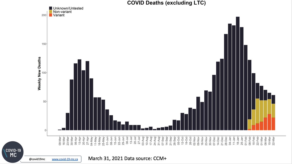 Reposting our analyses of cases, admissions to hospital and ICU and deaths for VOCs from March 31.