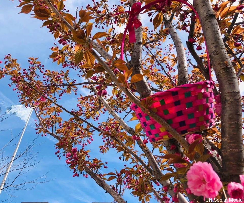 UN's tweet photo. We hope our followers who celebrate #Easter find a way to safely mark the occasion even at this difficult time. 

#OnlyTogether, people of all faiths can and will defeat #COVID19 – with cooperation, solidarity &amp; belief in our common humanity. https://t.co/gvnoS1pr84